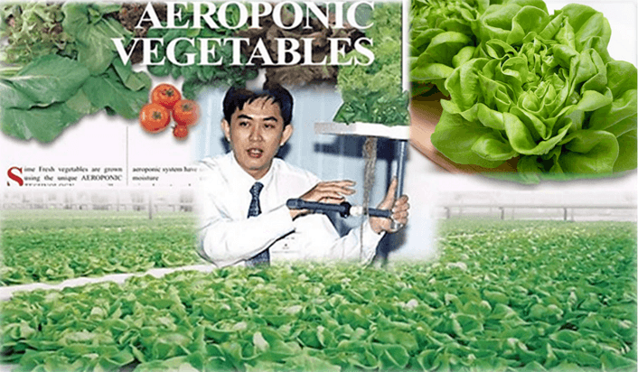 Revisiting aeroponics: Cool roots, hot tropics, fresh greens