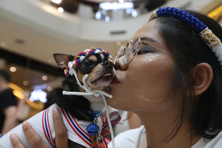 A profound life lesson from our pets — love and letting go