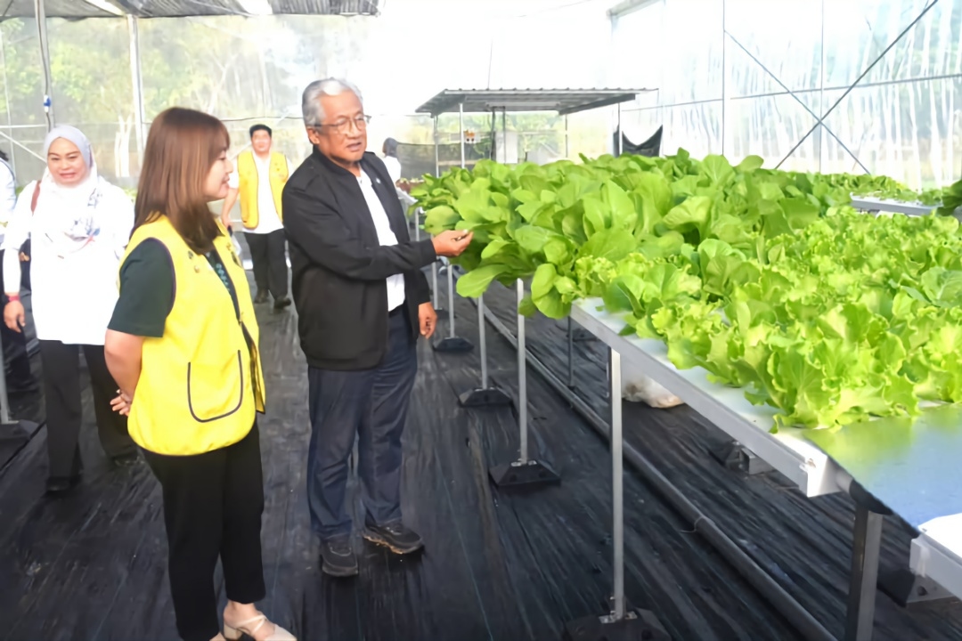 Bintulu Development Authority launches hydroponic farming initiative to tackle urban food security