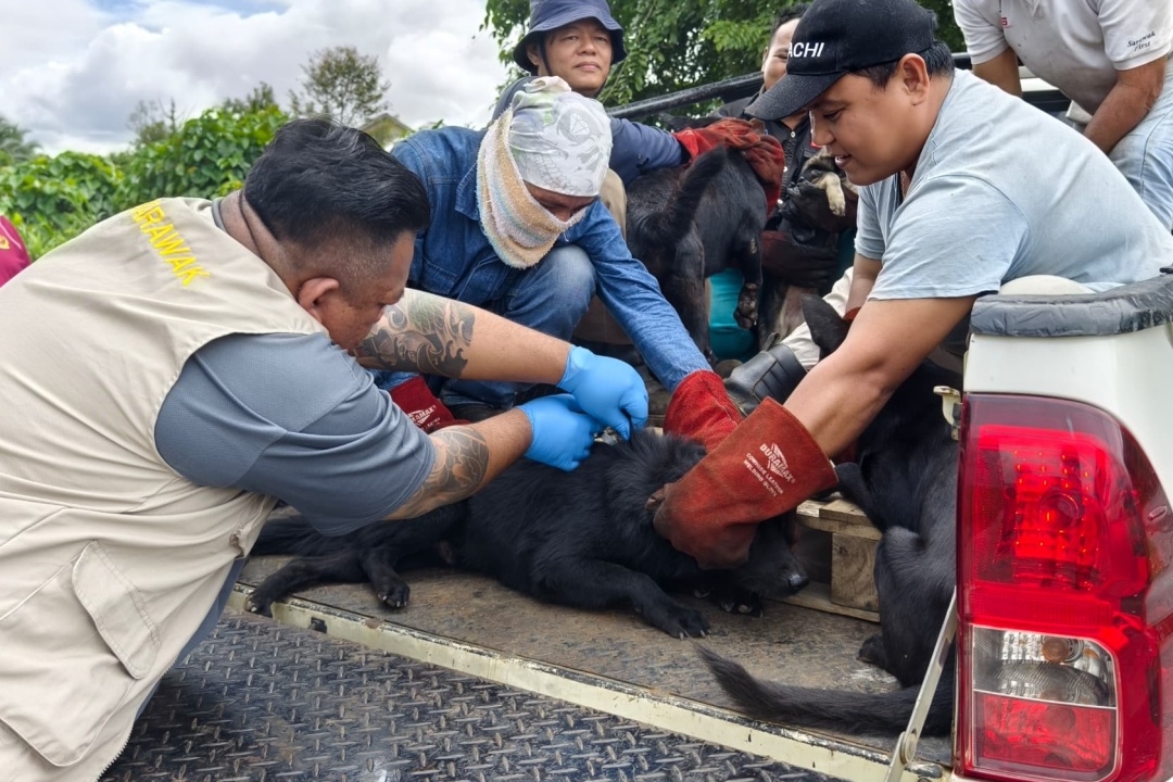 Free rabies vaccination, dog licensing at Sibu's Sang Ik Methodist Church on July 19