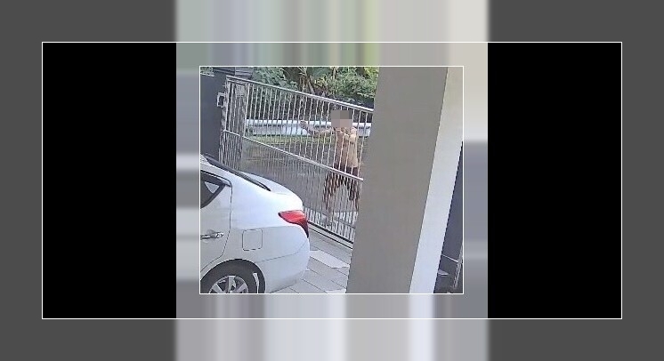 Residents plead for action as man's unruly behaviour sparks fear in Tabuan Dusun