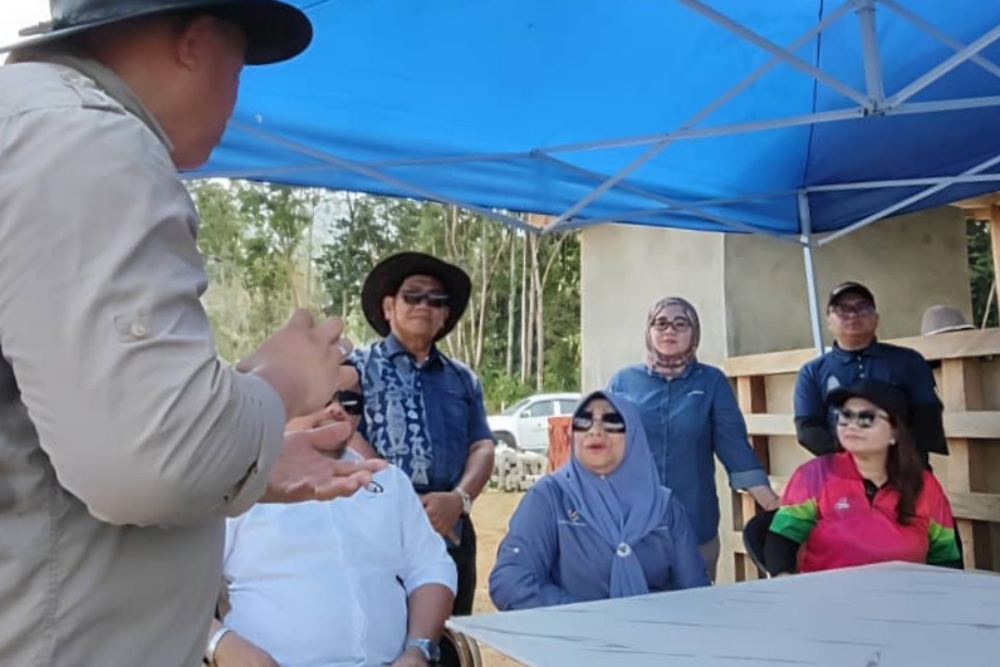 Lawas set to become key livestock hub with innovative buffalo, corn projects