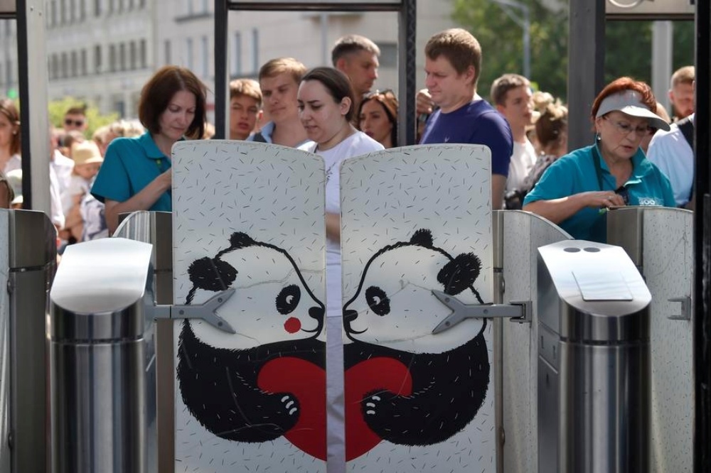 China's giant pandas draw world attention from national treasure to global cultural icon