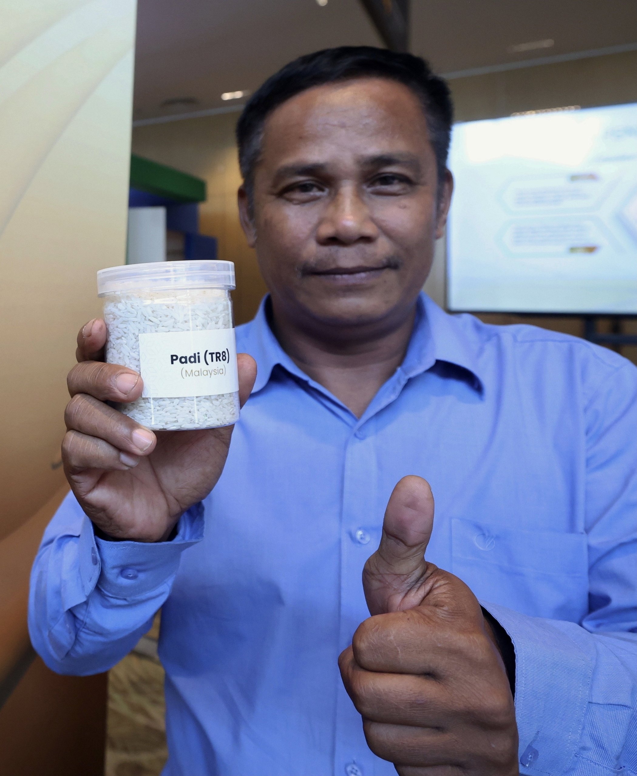 Smart SBB revolutionises padi farming in Kota Belud
