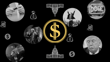 What is DOGE? Exploring its journey and the impact of Elon Musk's exit