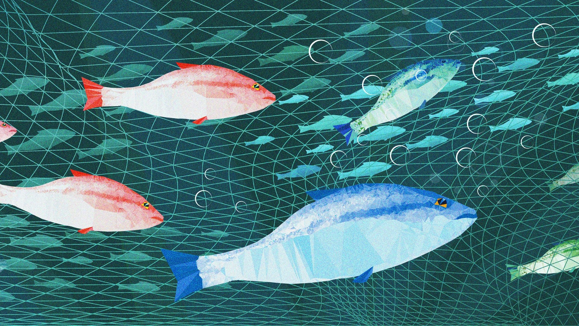 Yes, the UK-EU defence pact risk is about fish