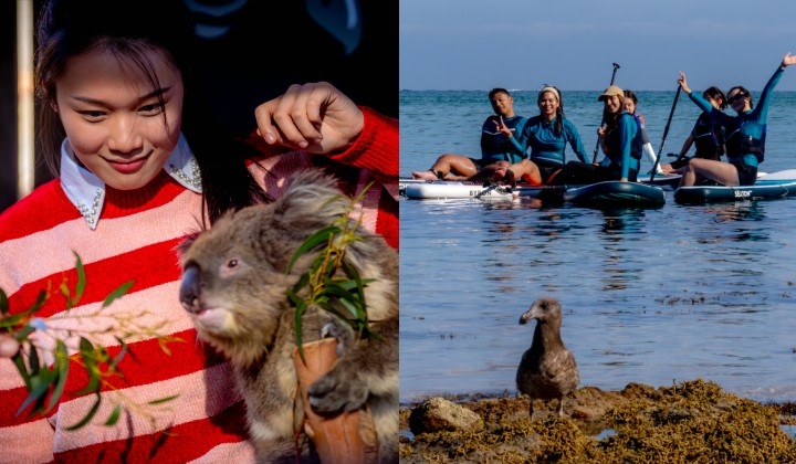 [Watch] Beyond Melbourne's City Limits: Where Urban Sophistication Meets Rural Charm