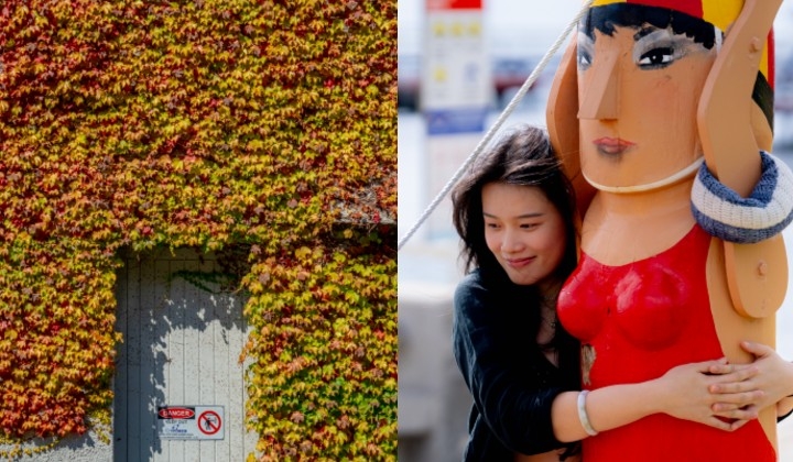 [Photos] A City That Whispers: Melbourne's Quiet Revolution Of Hidden Doors
