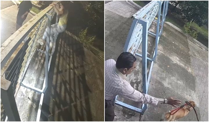 SPCA: Trespassing And Abandoning Animals After Hours Is Not Rescue