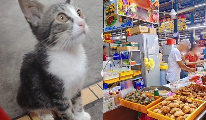Penang Kuih Seller Accused Of Strangling Cat At Cecil Street Market