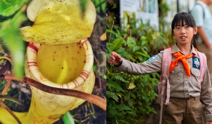 [Photos] How Genting Highlands' Nature Trails Are Becoming Malaysia's Hottest Eco-Destination