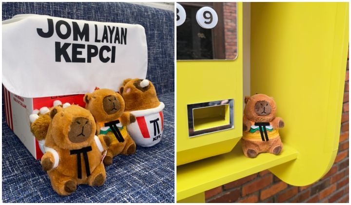 Tired Of Eating Alone? These Kepcibaras Will Keep You Company!