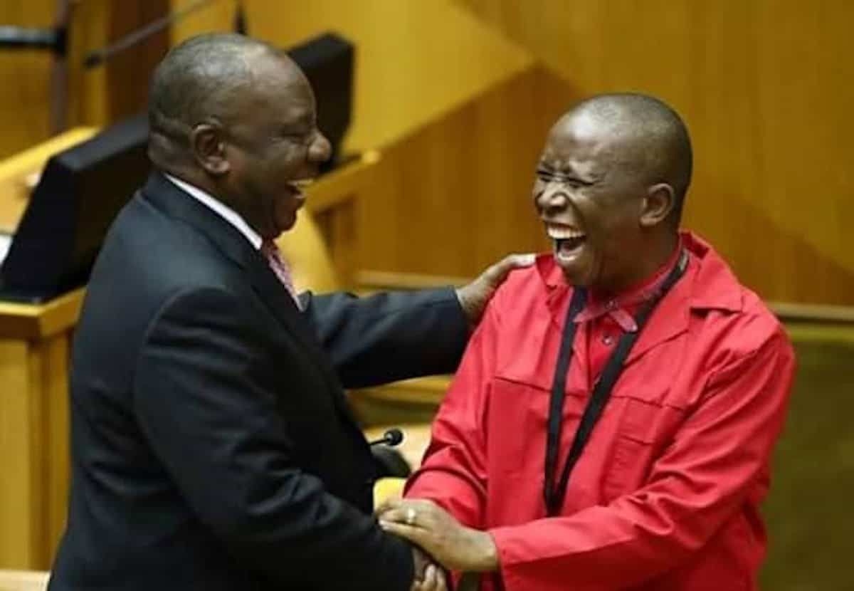 Steenhuisen for president? Malema vows to support motion to remove Ramaphosa