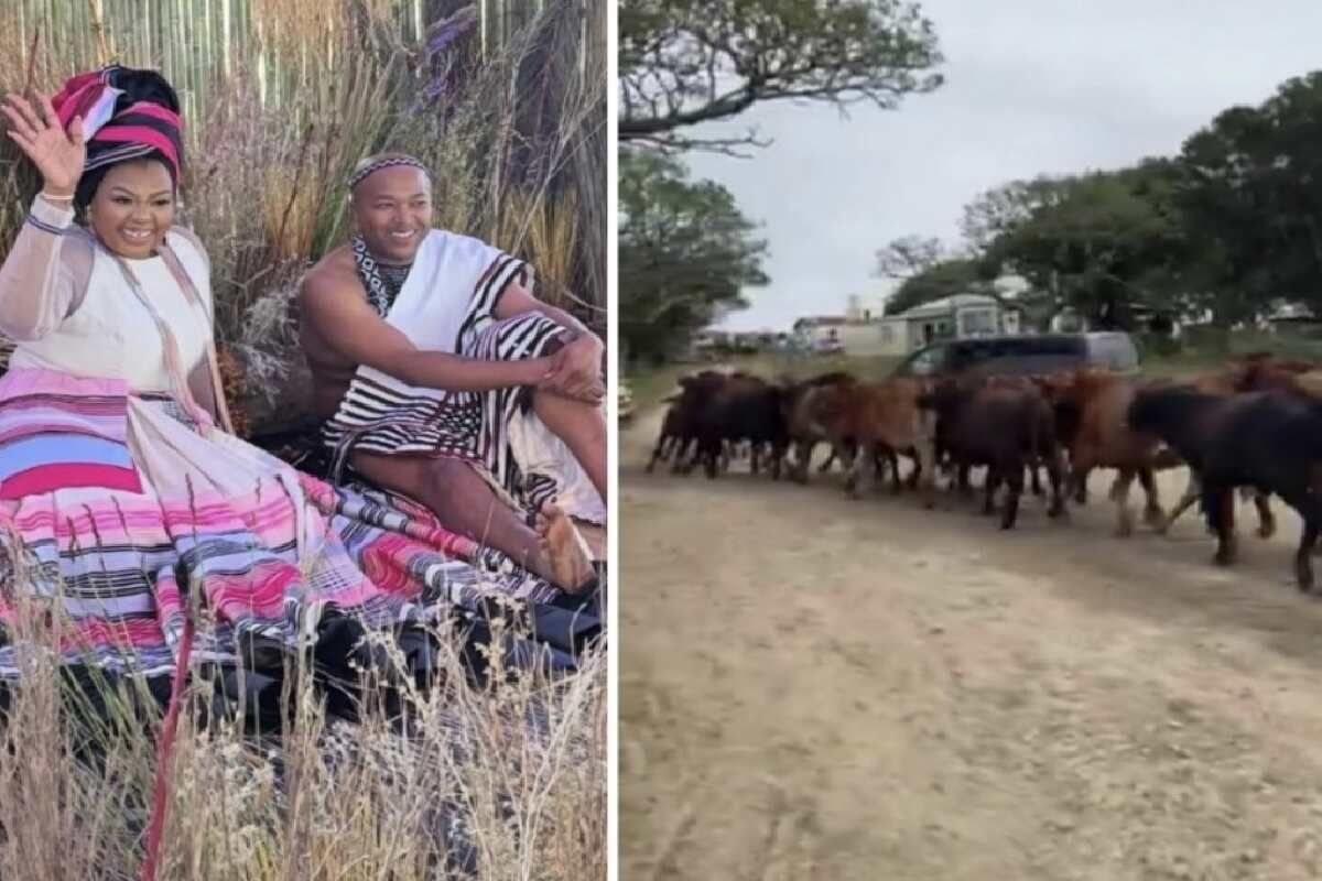 WATCH: Anele Mdoda shows off her lobola cows