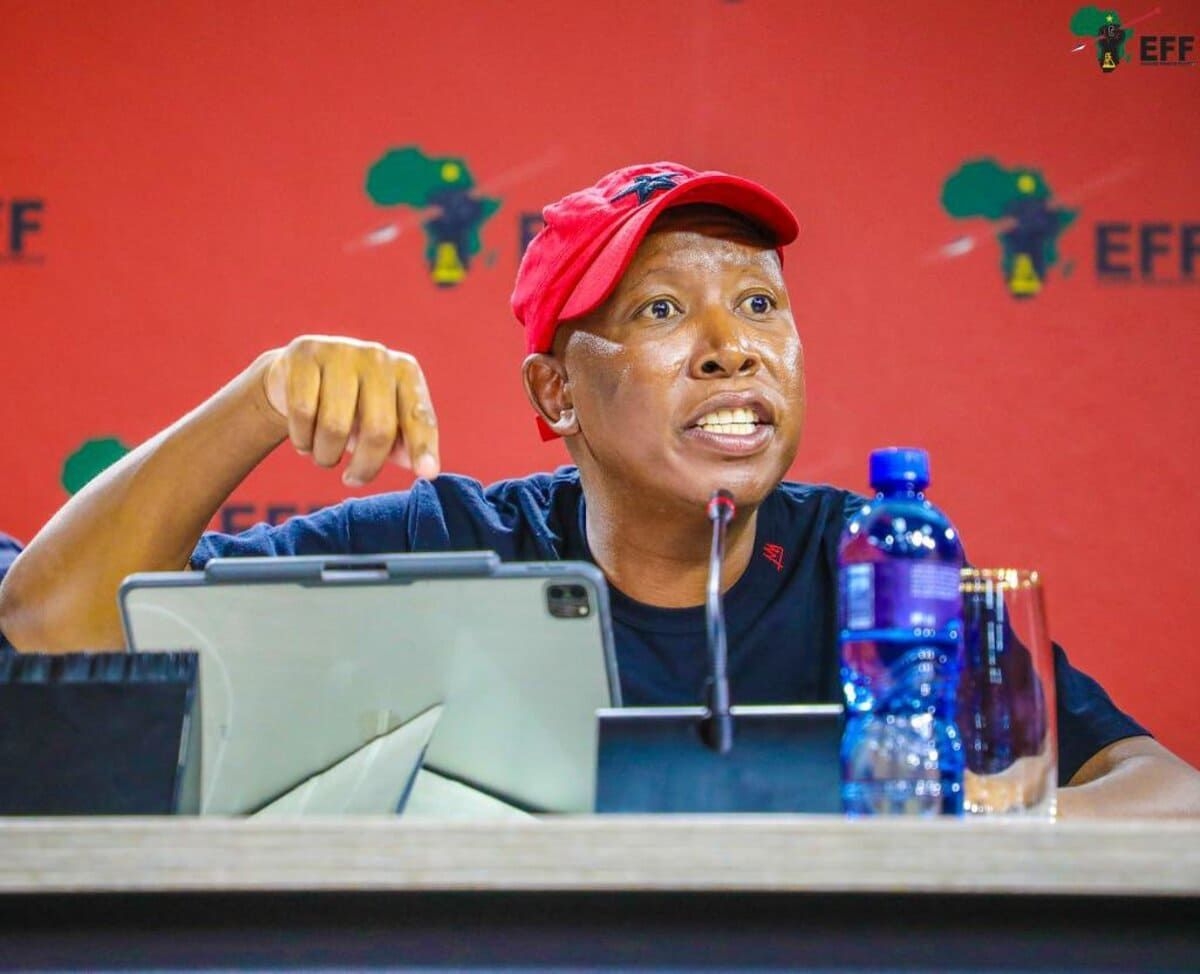 EFF calls for 'incompetent' Godongwana's head over VAT increase reversal