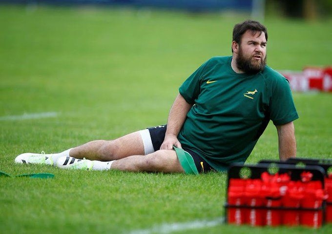Springboks: Injury list, recovery timelines