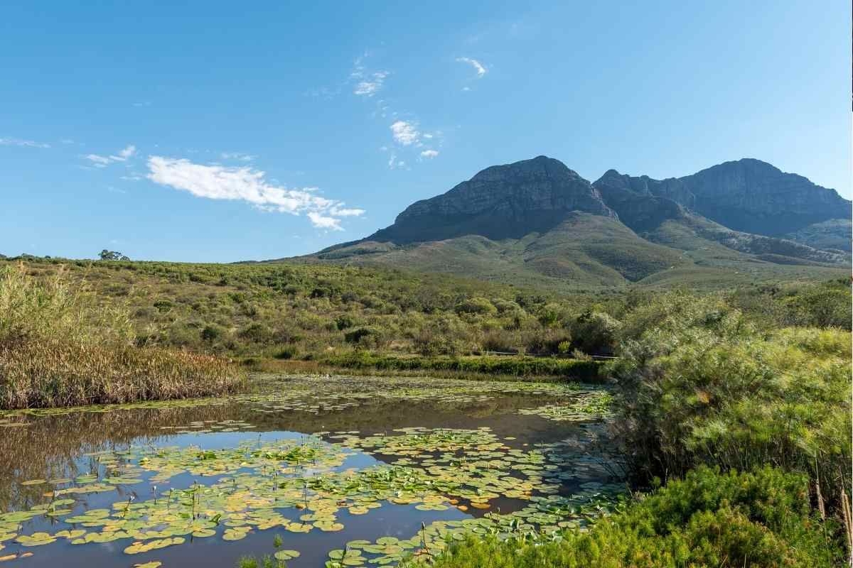 Cape Town nature reserves free to visit this weekend
