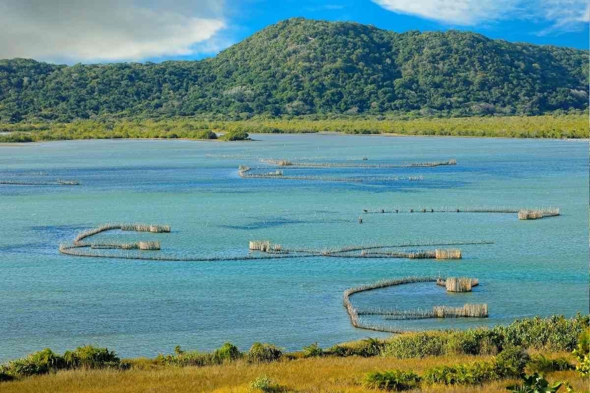 5 places in SA that feel like Bali