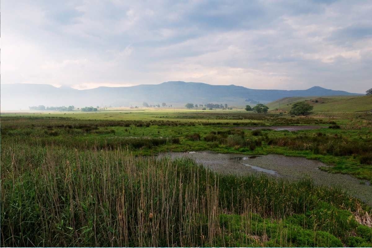 Five small towns in SA to visit when you need to escape the city