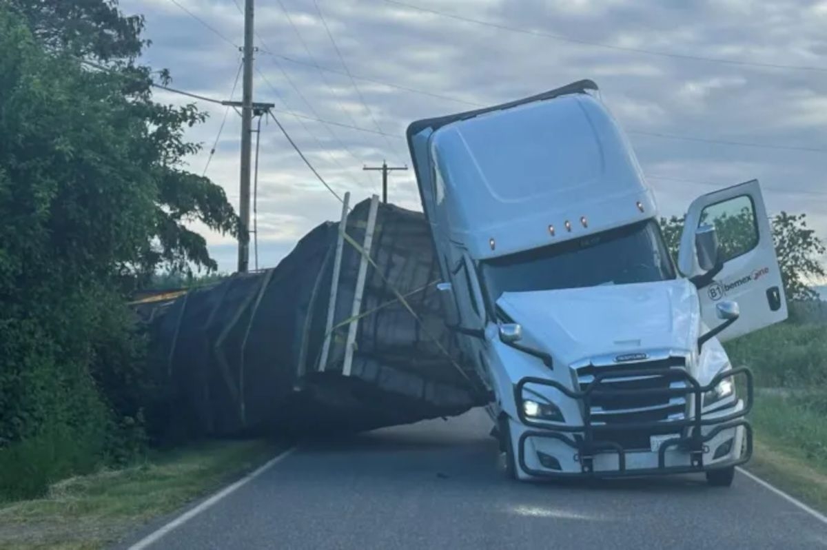 Millions of BEES escape from overturned truck
