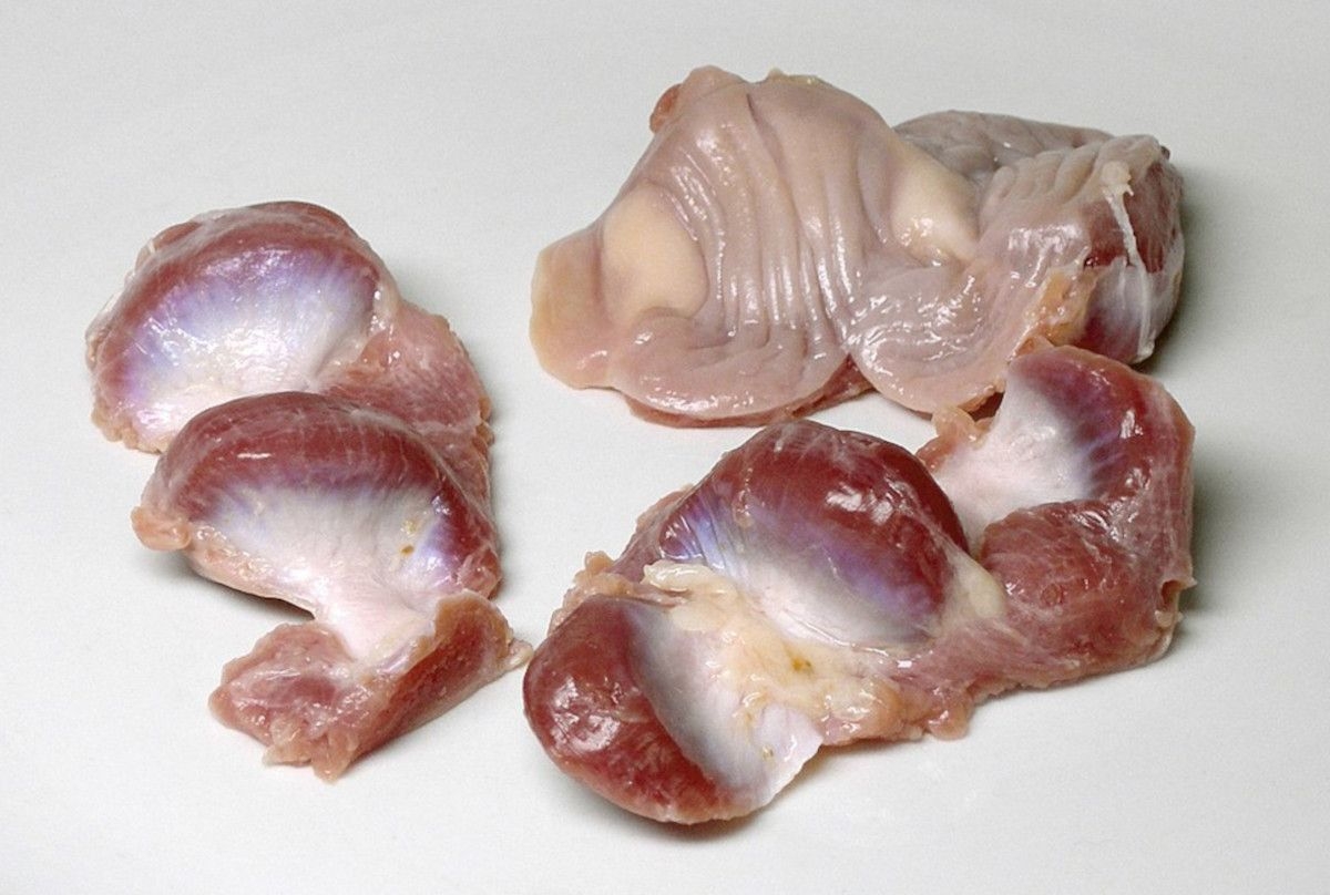 Chicken crisis in South Africa: Here's why offal prices have skyrocketed
