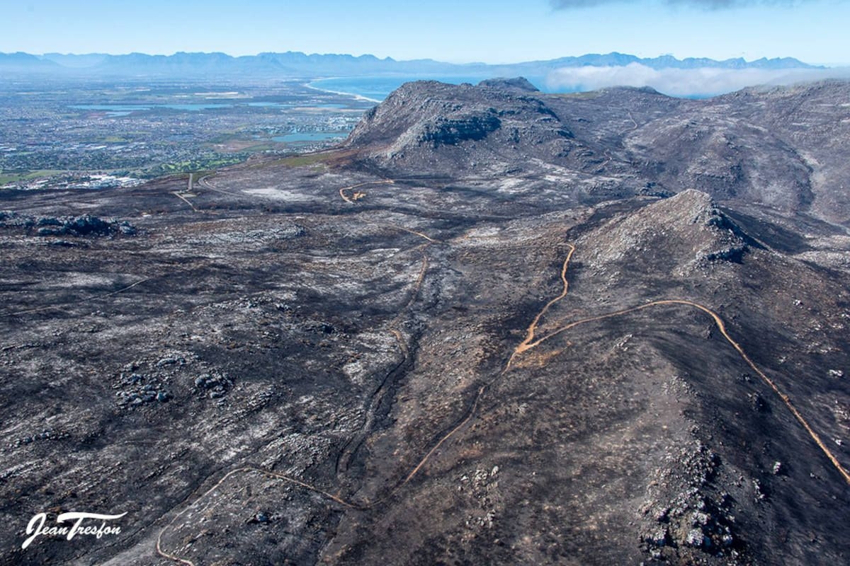 Constantiaberg mountains blackened post wildfires