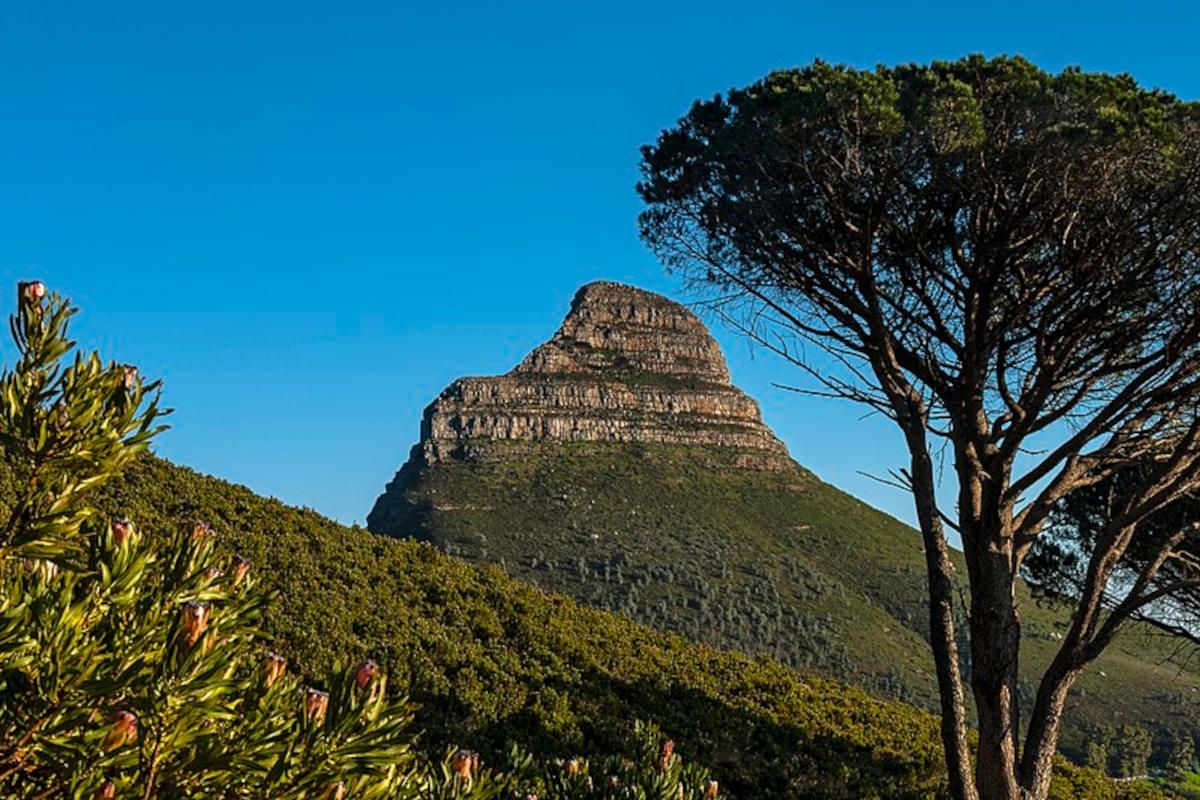 Card scammer suspects arrested near Lion's Head