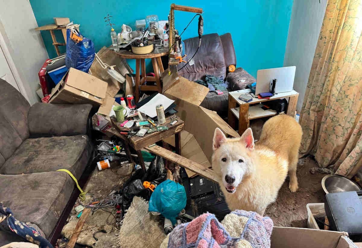 Betrayal behind closed doors: K9 Patrol Pet Army founder arrested