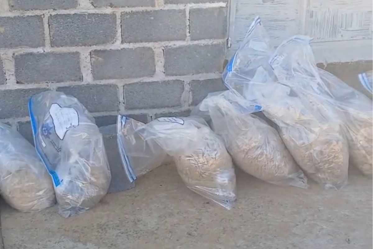Drug mule busted at OR Tambo