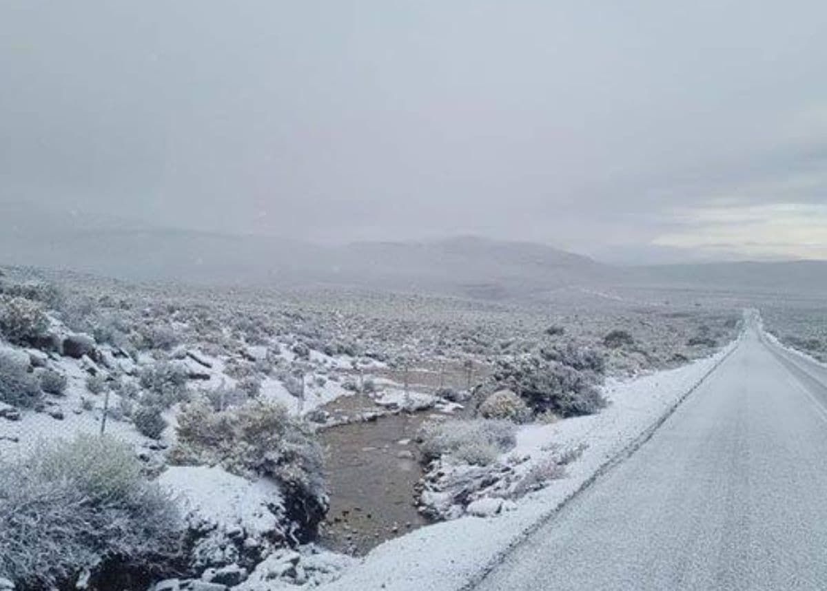 Weather: Cold warning was a hoax, here's the truth