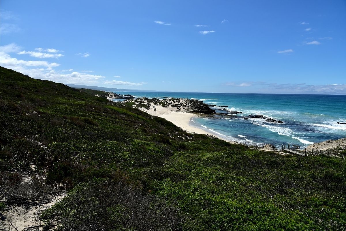 De Hoop's Whale Trail gets upgraded ahead of whale season