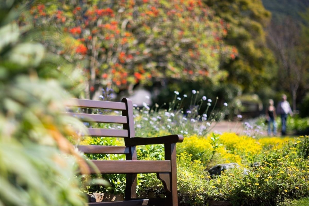 The New York Times says this Cape Town garden is a 'must-see'