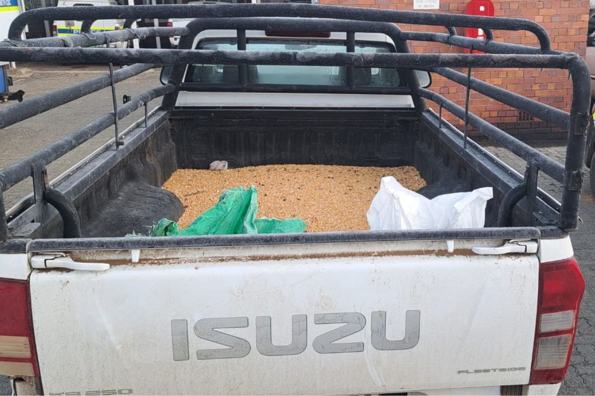 Nine arrested, four bakkies seized after looting of maize truck