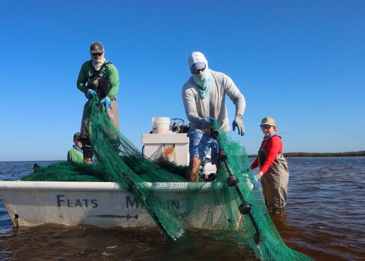 EISH WENA: KZN fishermen haul live sharks in sardine run nets [Video]