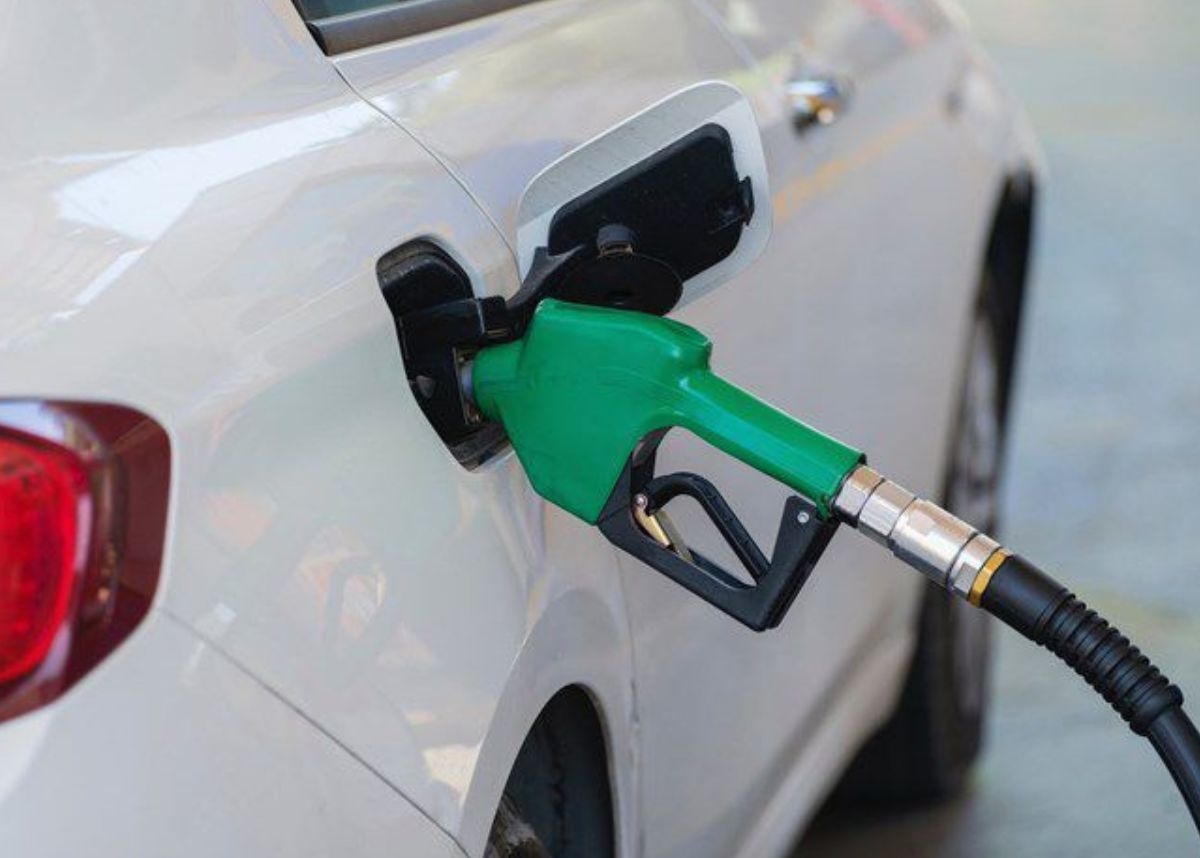 JUST IN: EFF loses court bid to interdict fuel levy increase