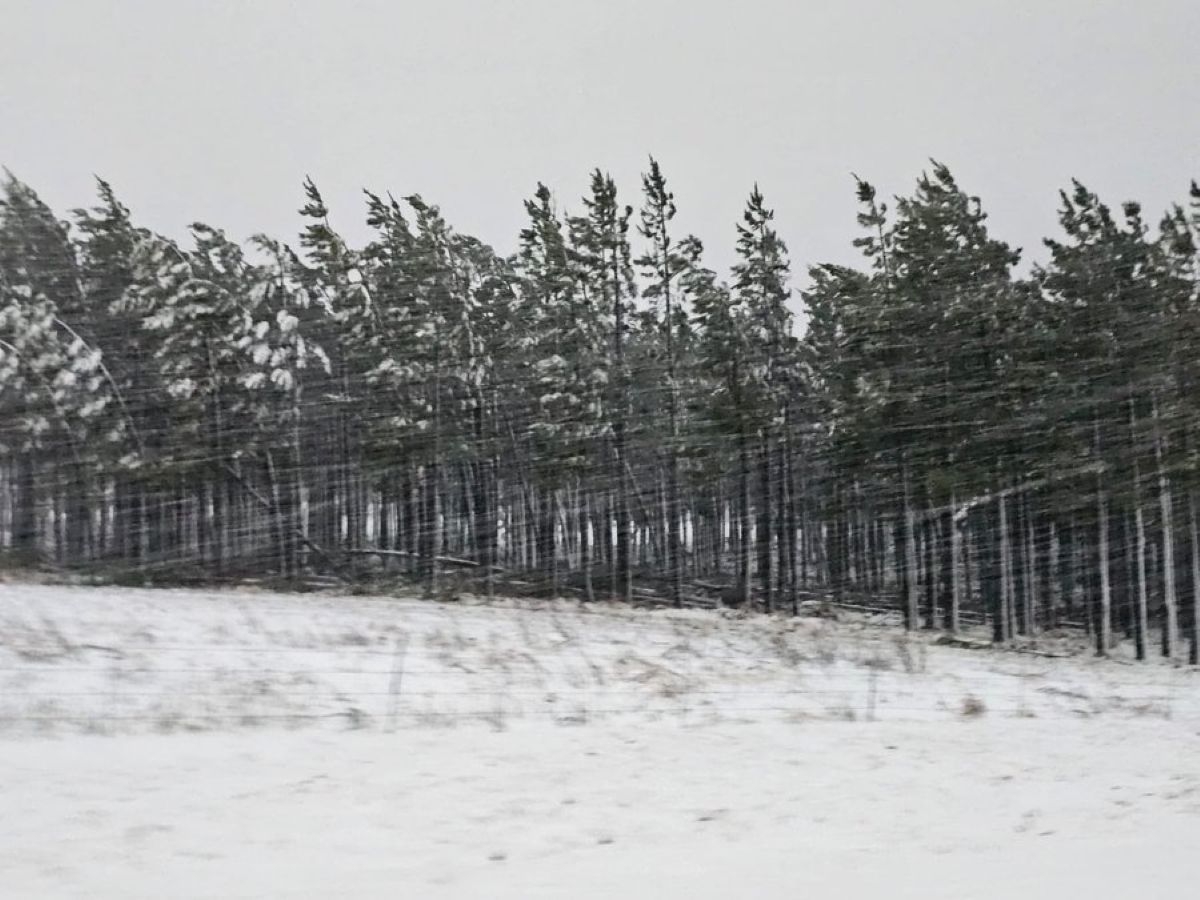 Motorists in KZN warned to stay away as snow forces N2 closure