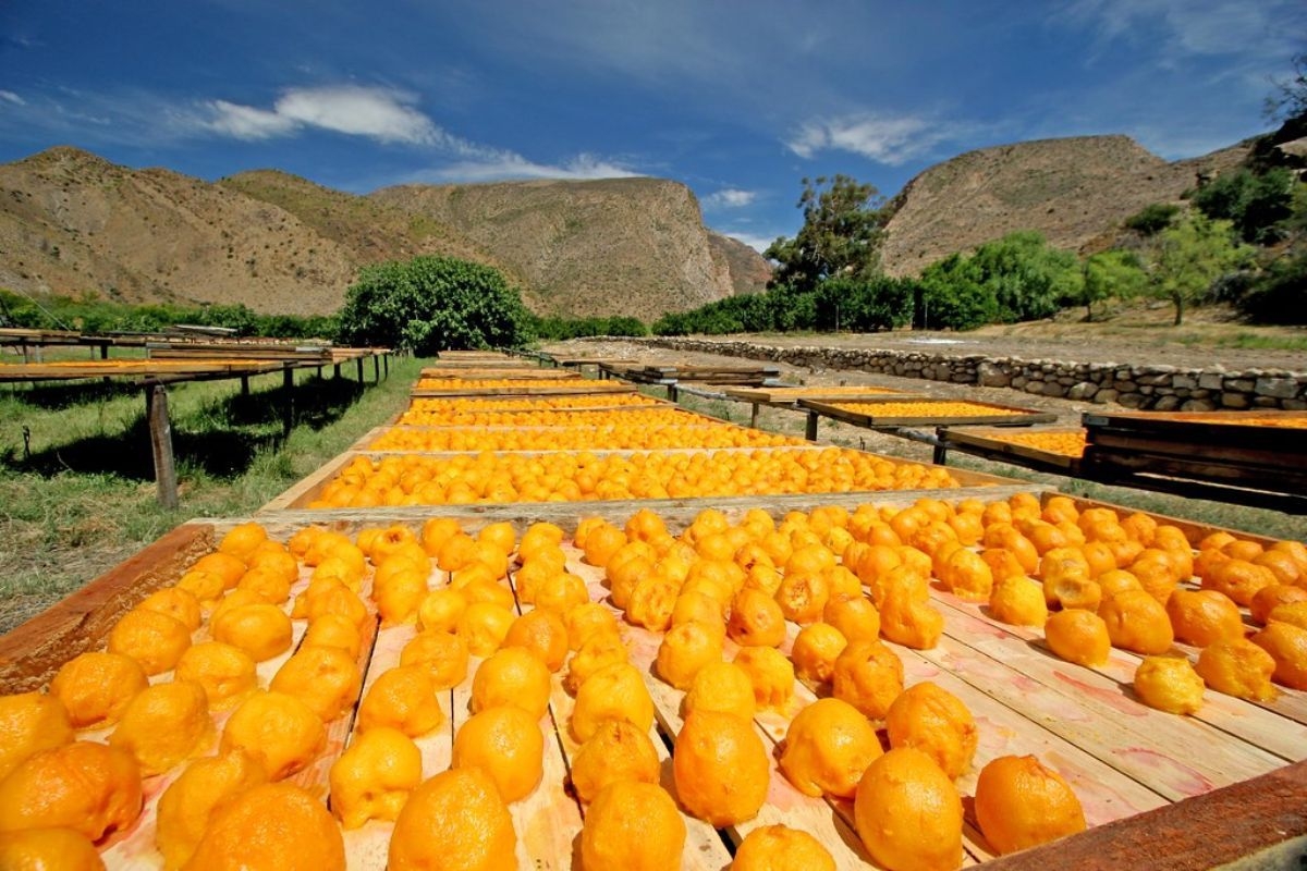 South African dried fruit is 'unrivalled globally'
