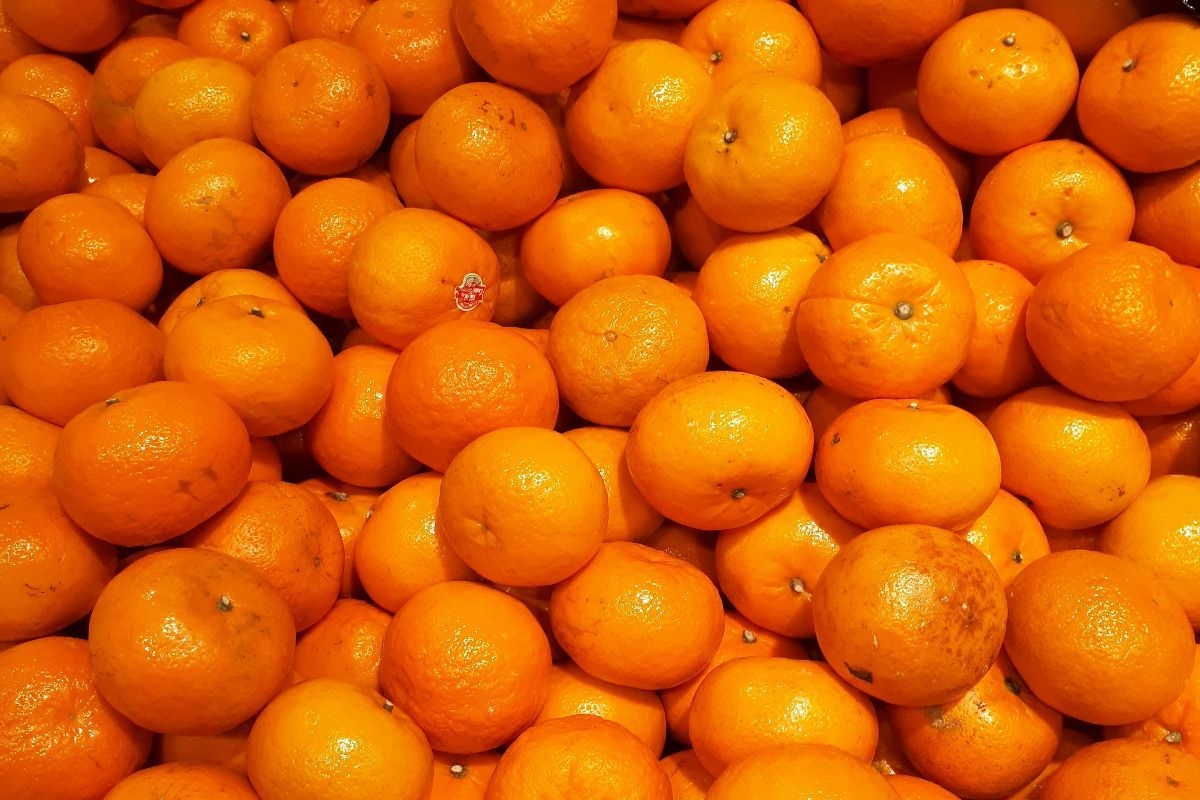 SA accused of dumping 'non-premium' citrus in India