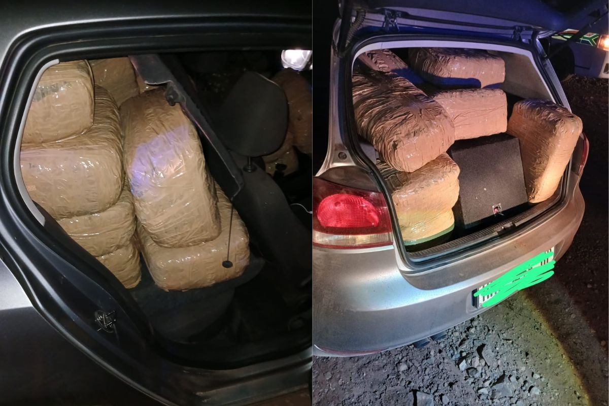 POLICE SEIZE DAGGA WORTH R7 MILLION IN MPUMALANGA
