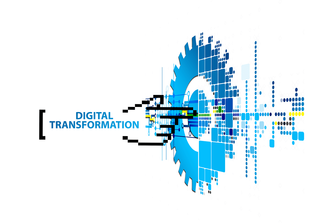 Pros and cons of digital transformation in the developing world