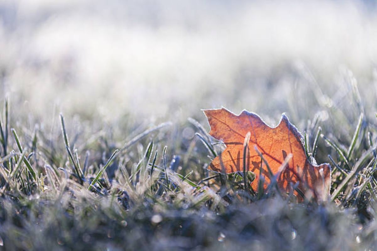 Cooler conditions with cloud cover for KwaZulu-Natal