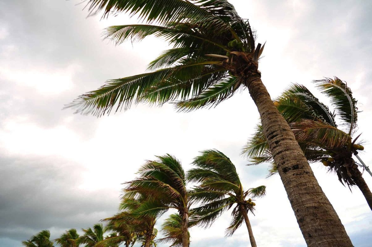 KwaZulu-Natal braces for damaging winds and isolated showers