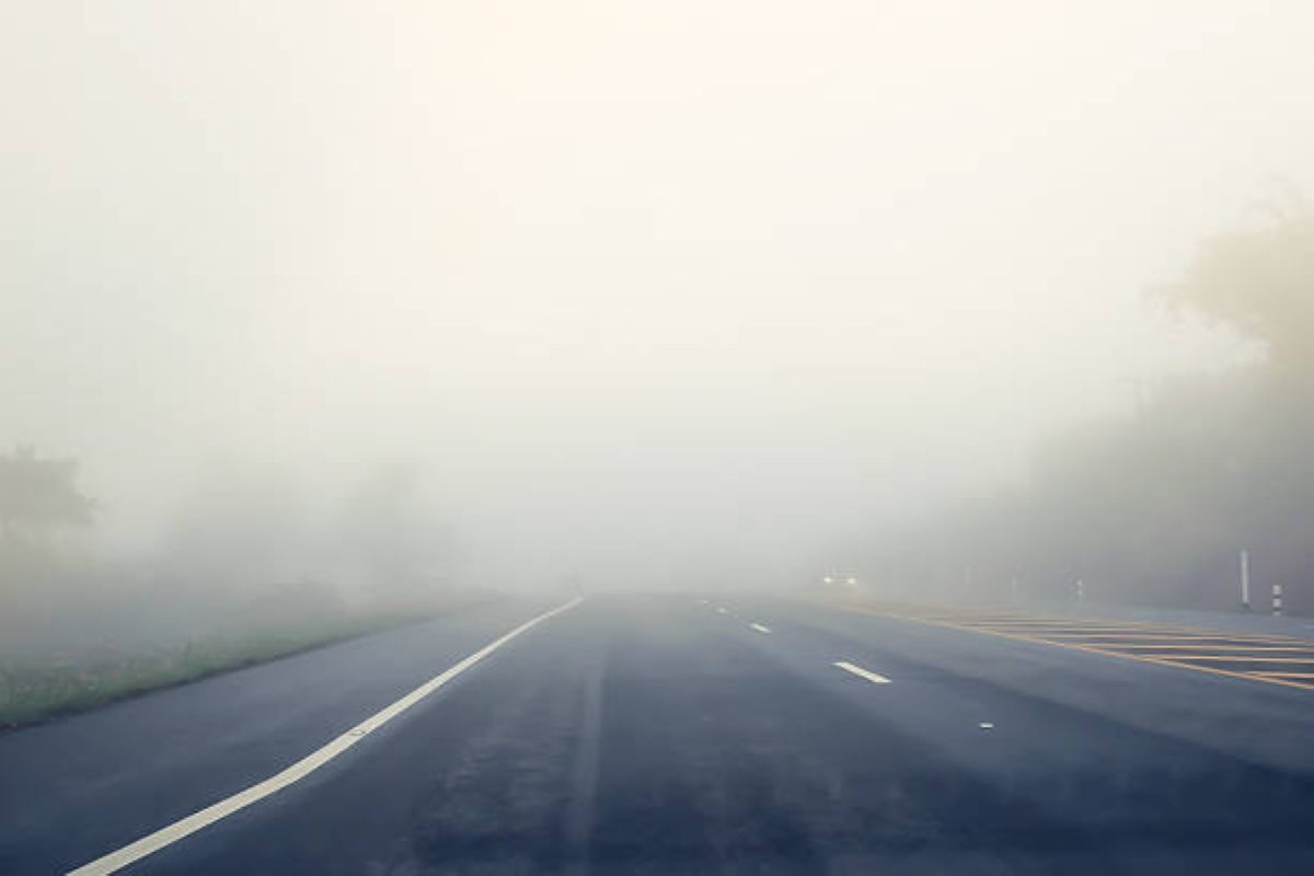 Foggy mornings and isolated showers expected in KwaZulu-Natal