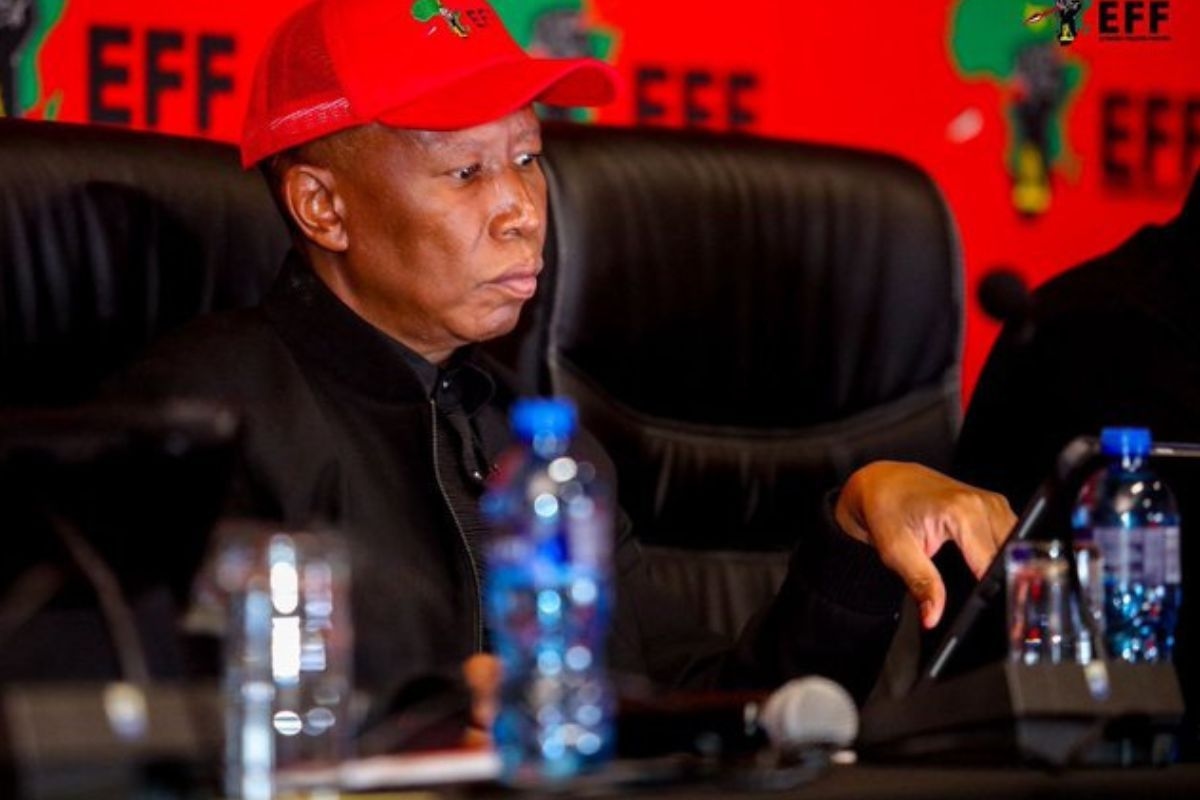 Malema: 'EFF has never been in the pockets of criminals'