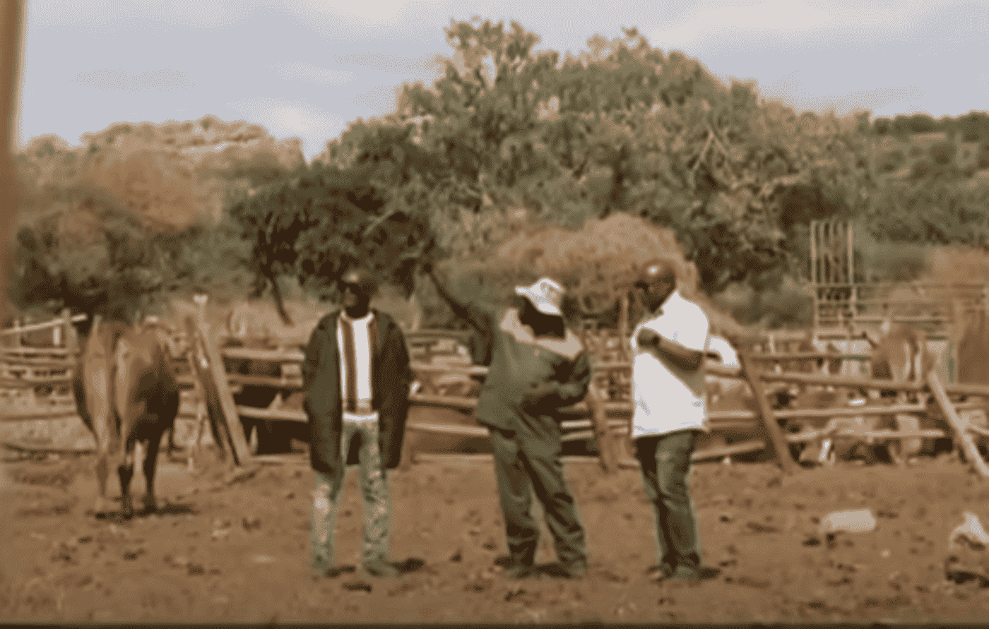 Limpopo farmers devastated as invaders from Zimbabwe destroy crops