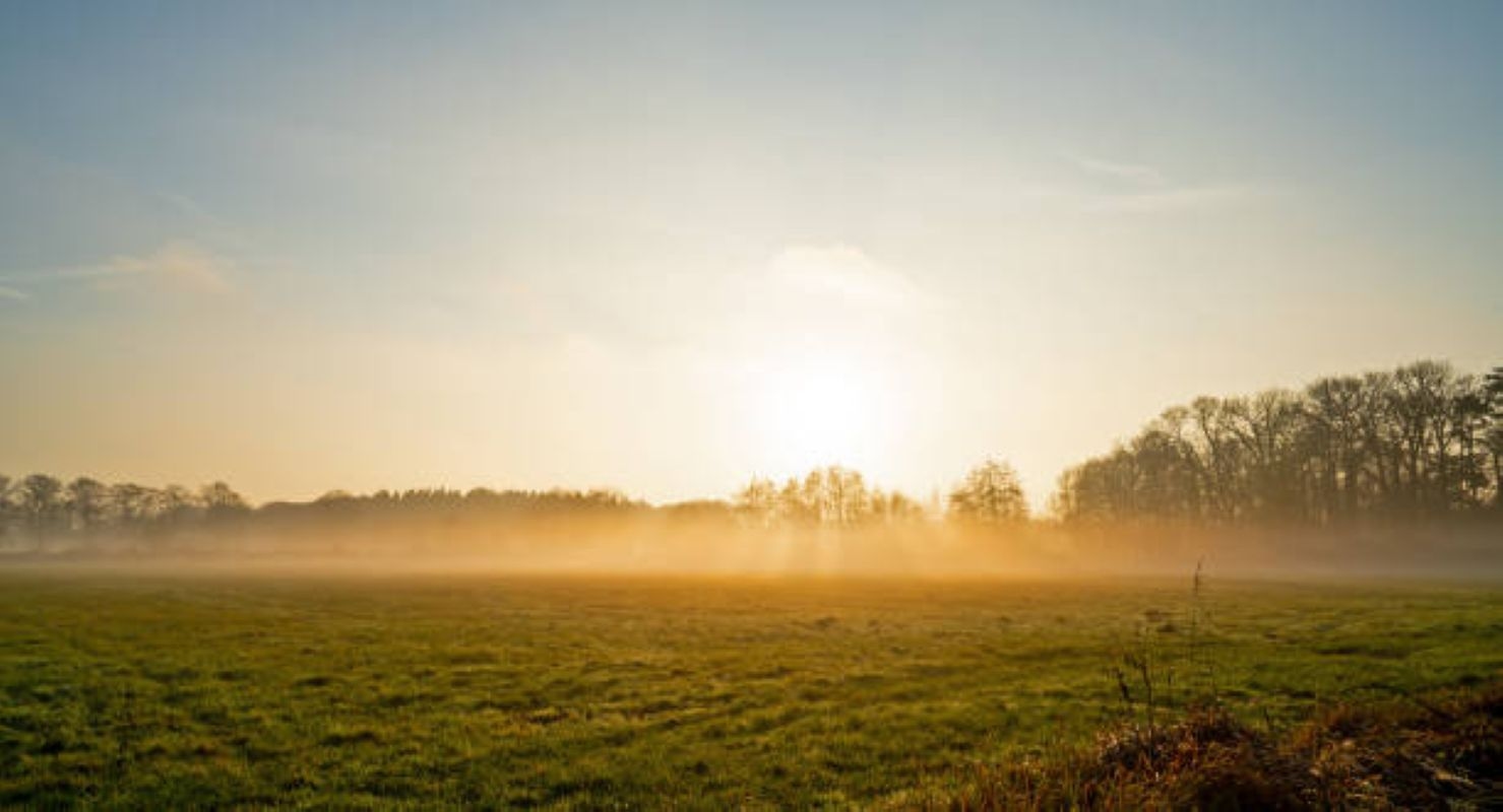 Cool day expected in Gauteng and morning fog