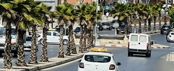 موجة حر تصل إلى 45 درجة بعدد من مناطق المملكة من بينها تيفلت