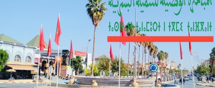 مشاريع الـ (INDH) تستقطب الساكنة بتيفلت