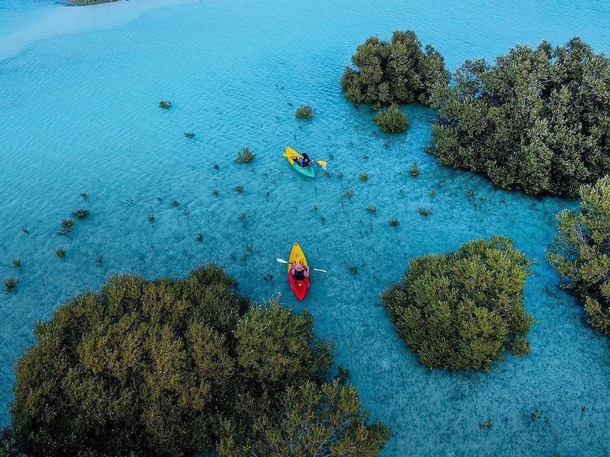 Top attractions in Abu Dhabi: 19 places to visit this summer