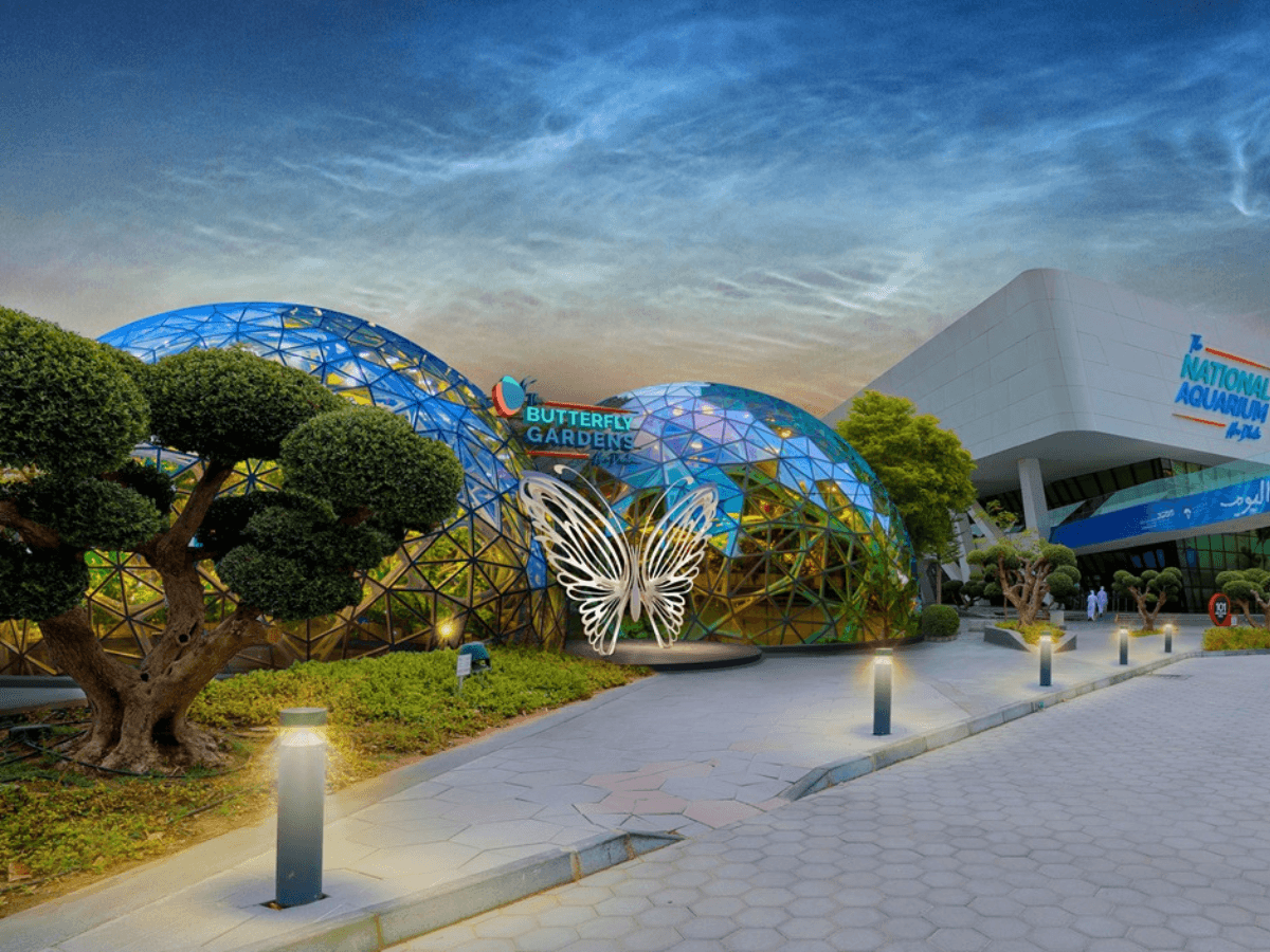 A super cool butterfly sanctuary is coming to Abu Dhabi